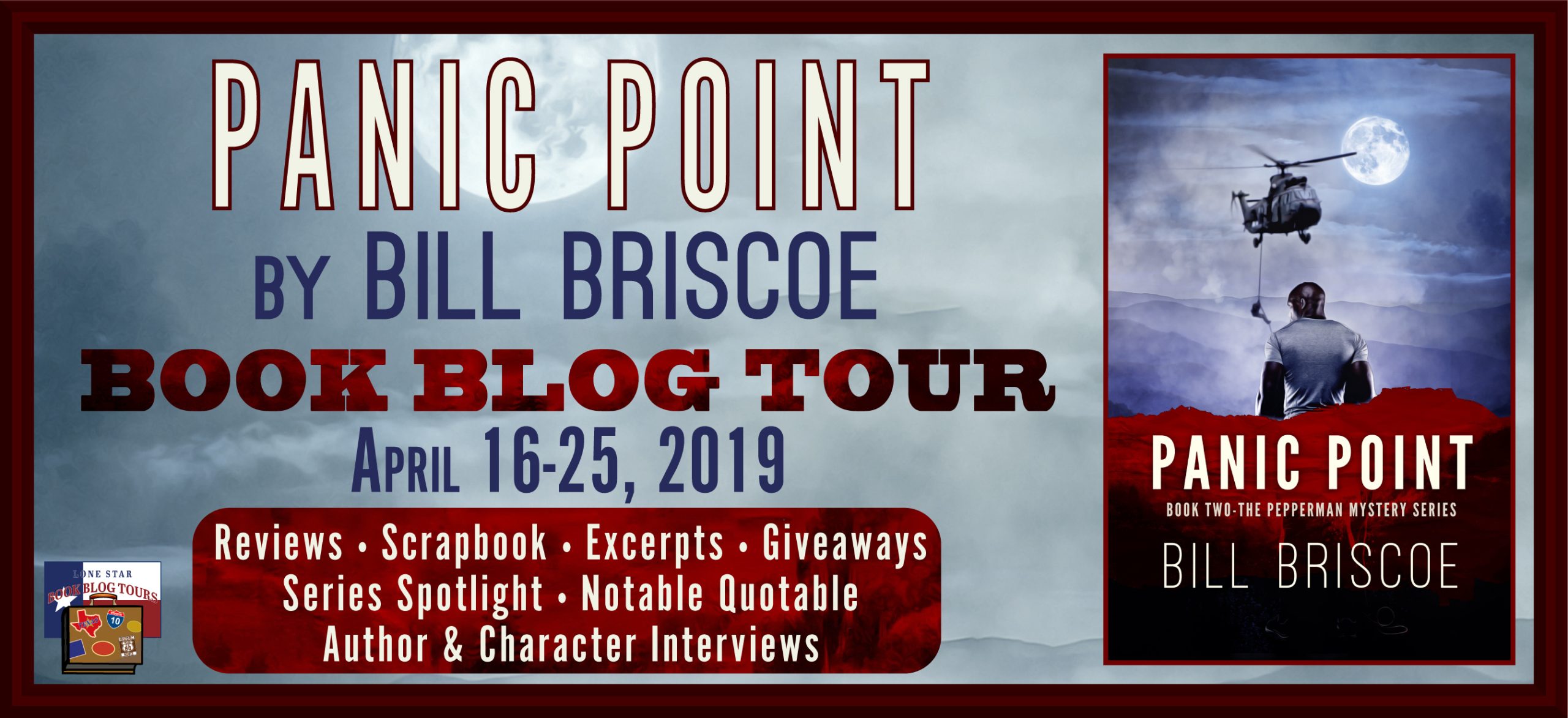 Panic Point by Bill Briscoe