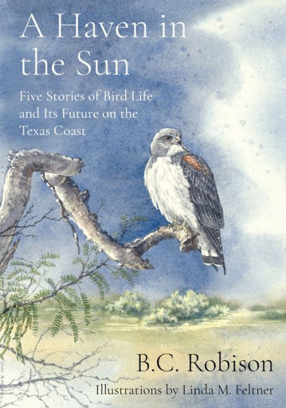 04a_haven_in_the_sun_cover