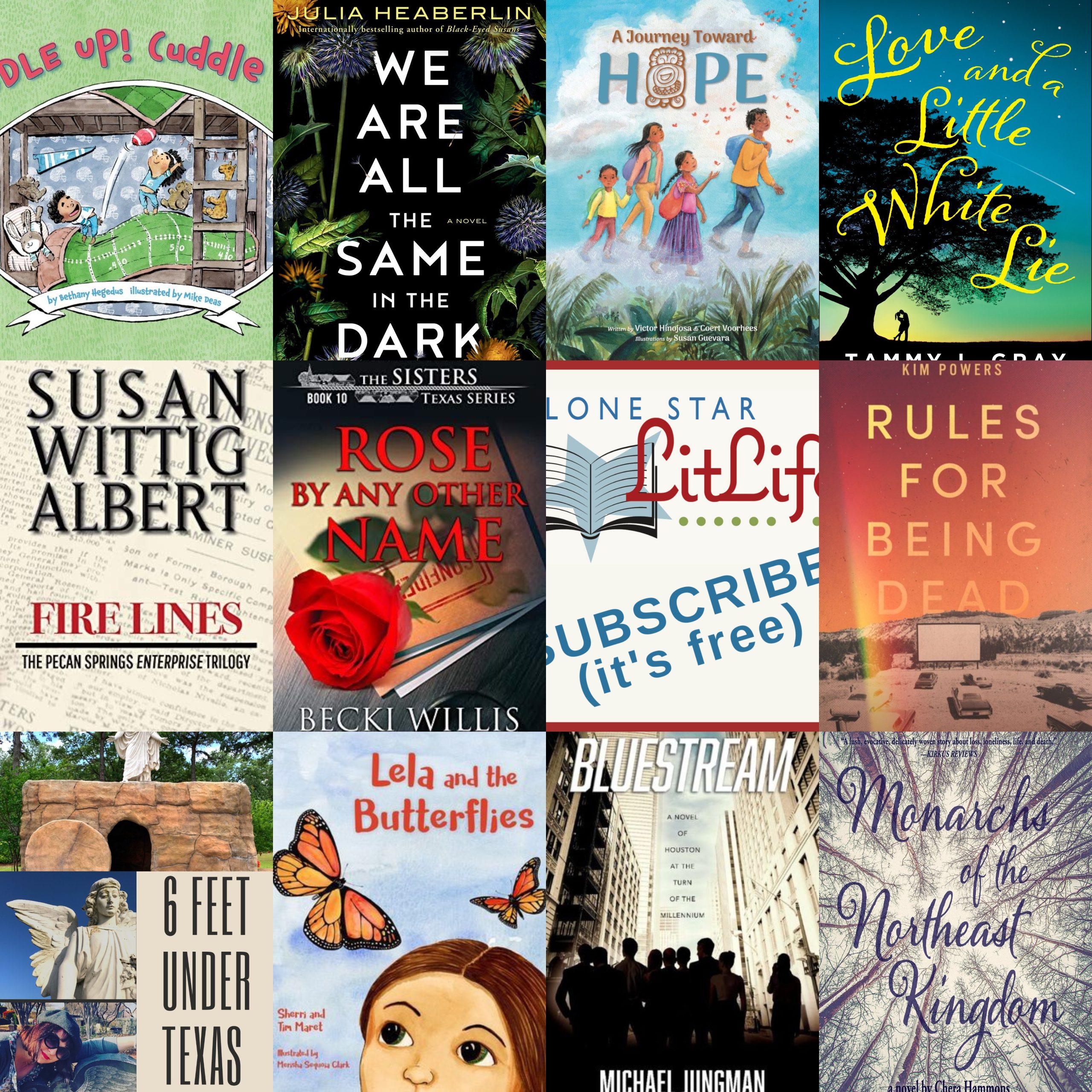 Lone Star Lit newsletter subscribers get sneak peek of August Texas Books Preview