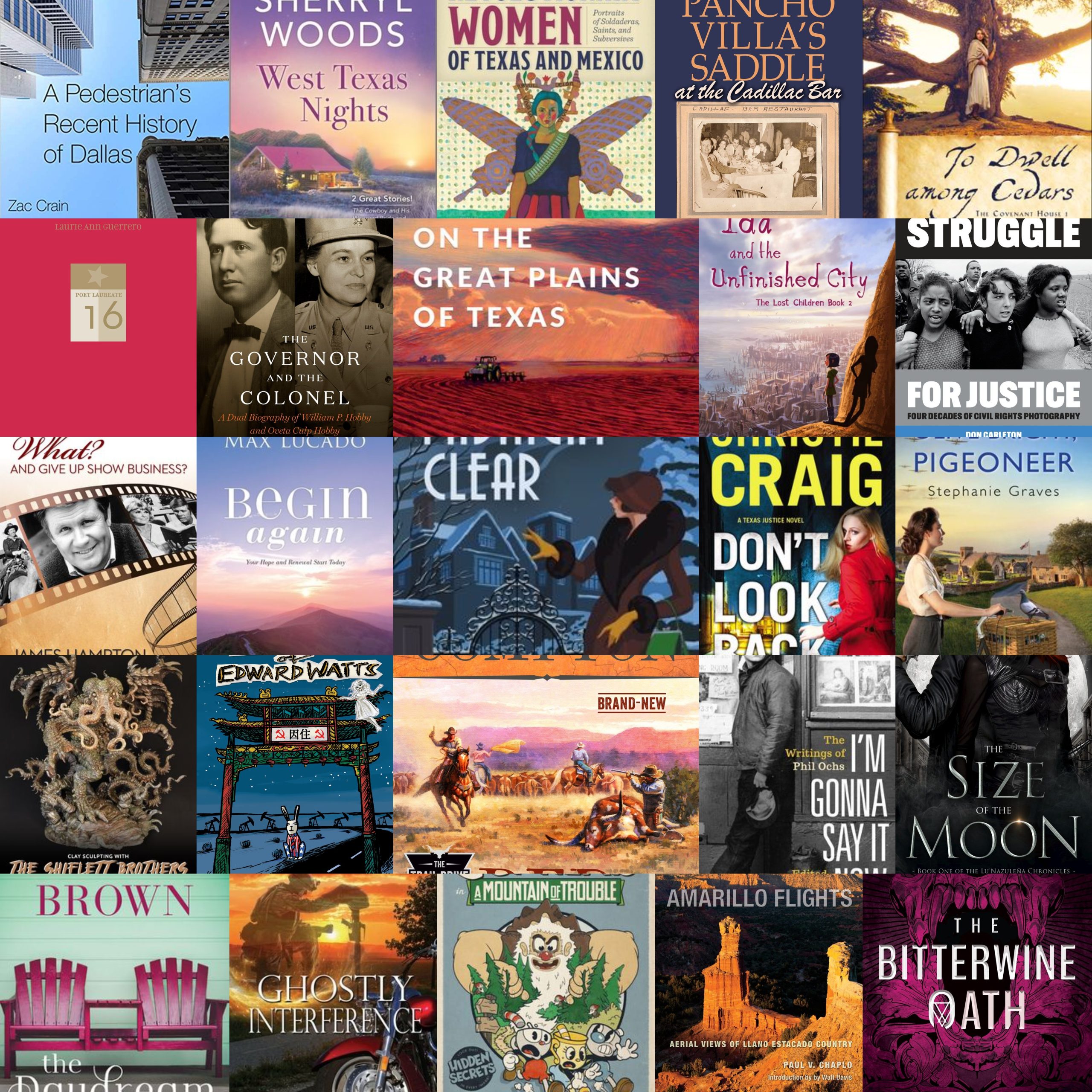 December Texas Books Preview