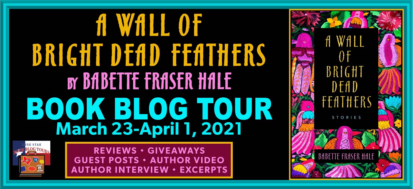 A Wall of Bright Dead Feathers by Babette Fraser Hale
