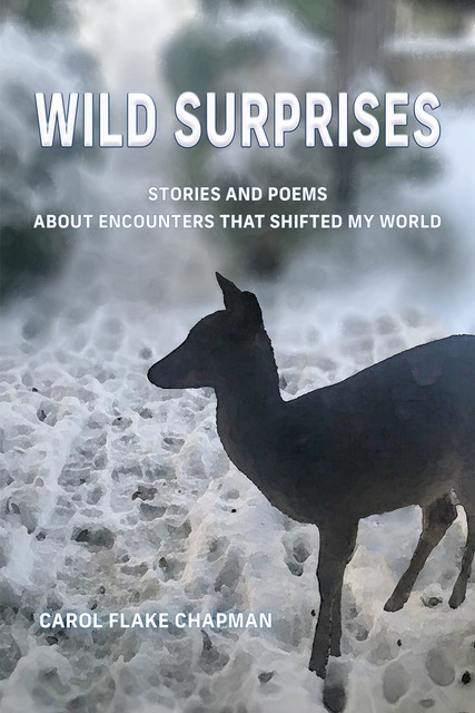 Lone Star Indie Review: WILD SURPRISES