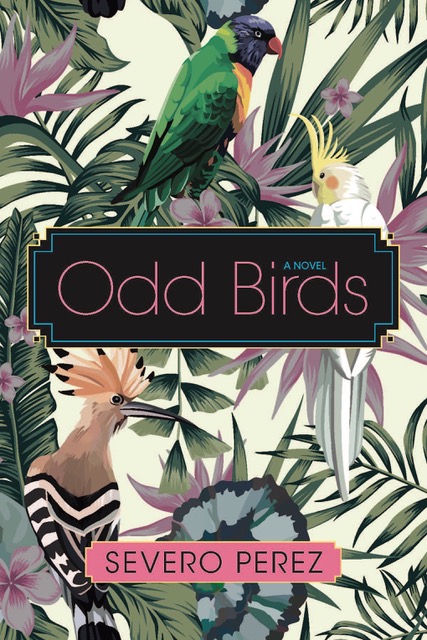 Lone Star Indie Review: ODD BIRDS