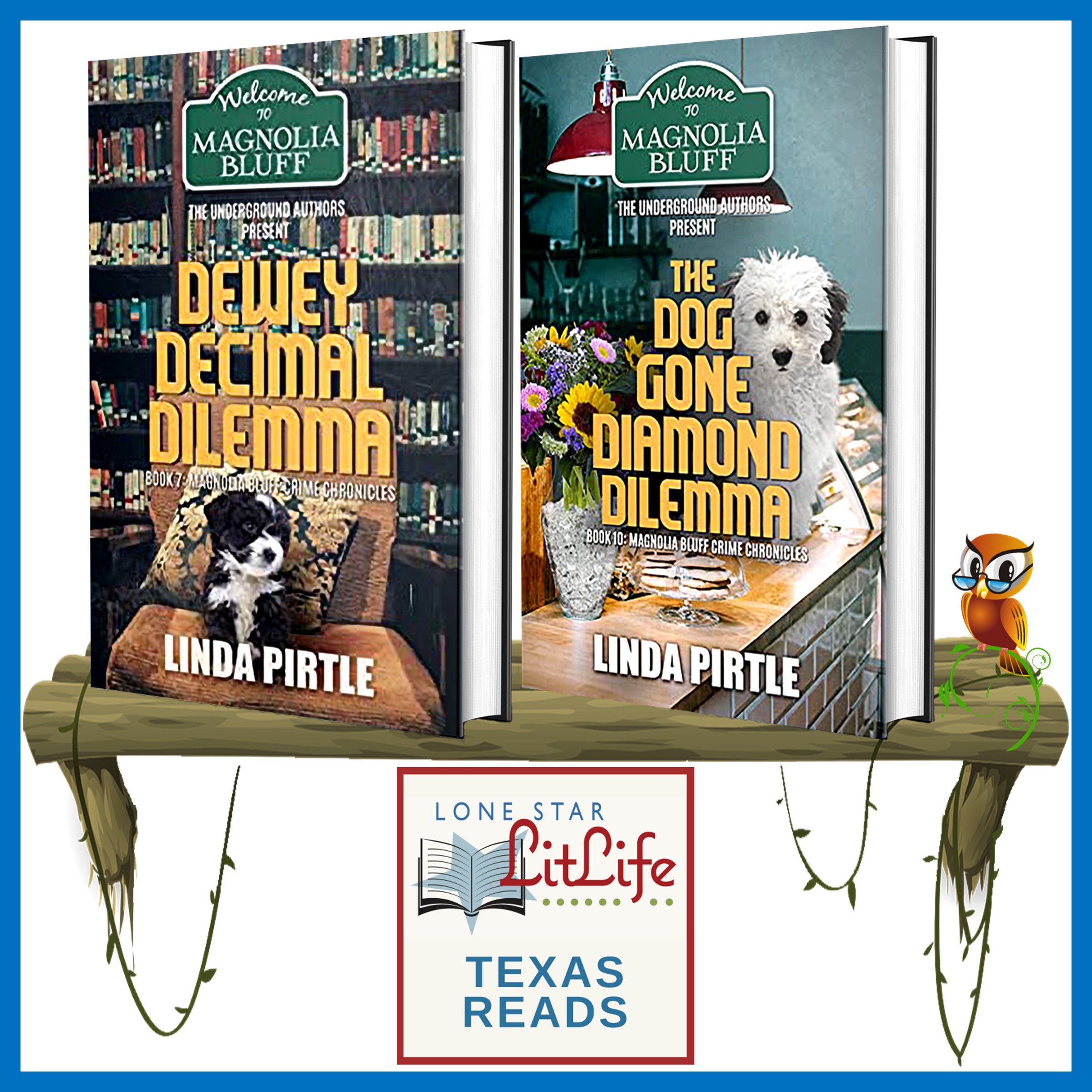 Texas Reads Mystery with Anita Dickason
