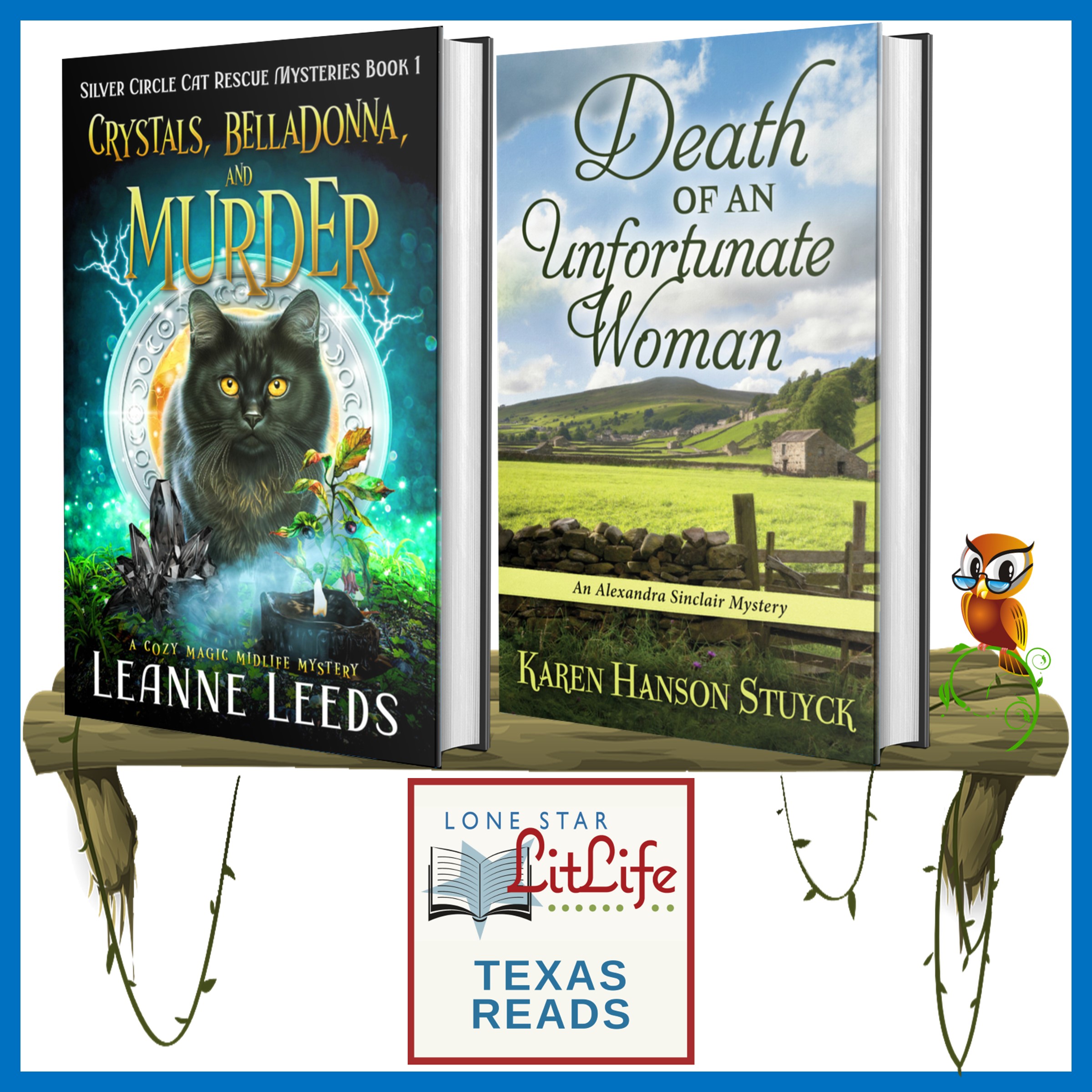 Texas Reads Mystery with Anita Dickason