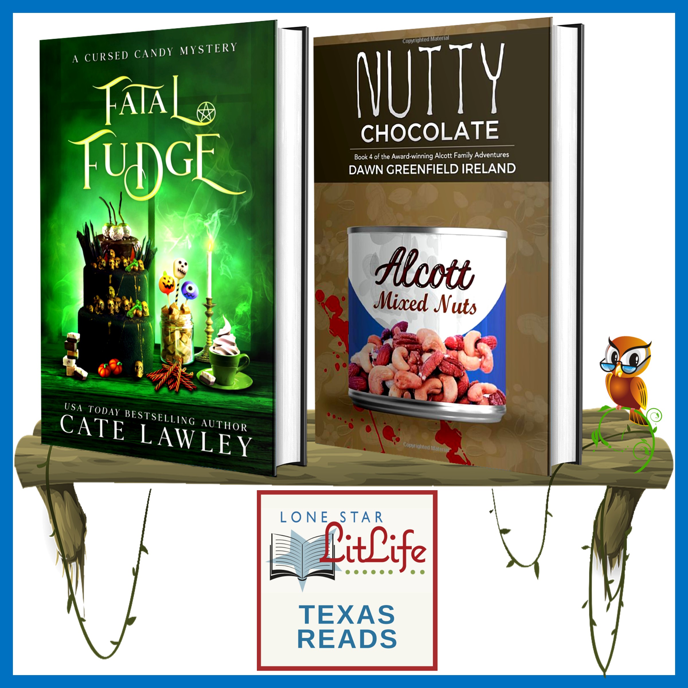 Texas Reads Mystery with Anita Dickason