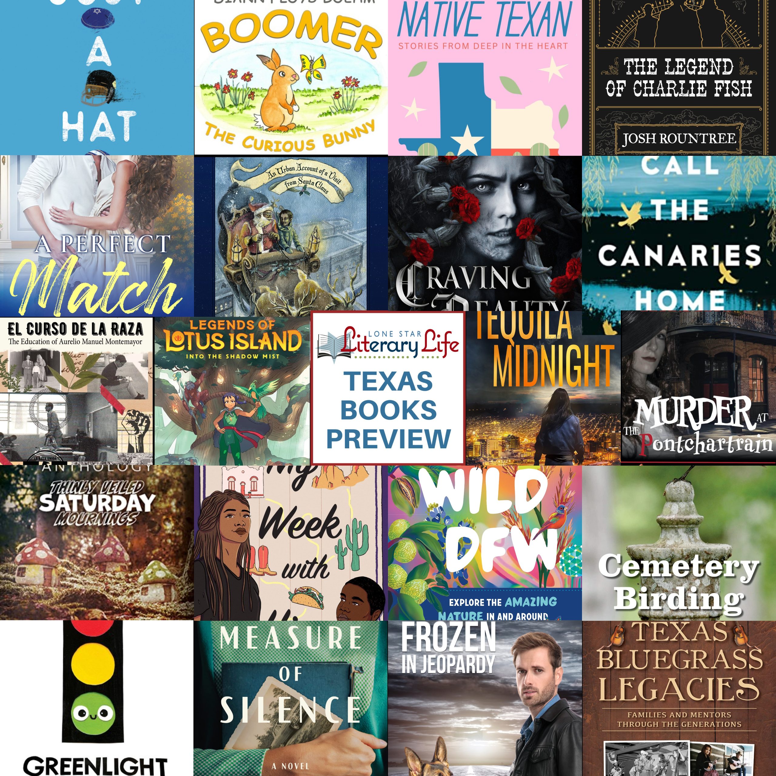 July 2023 Texas Books Preview