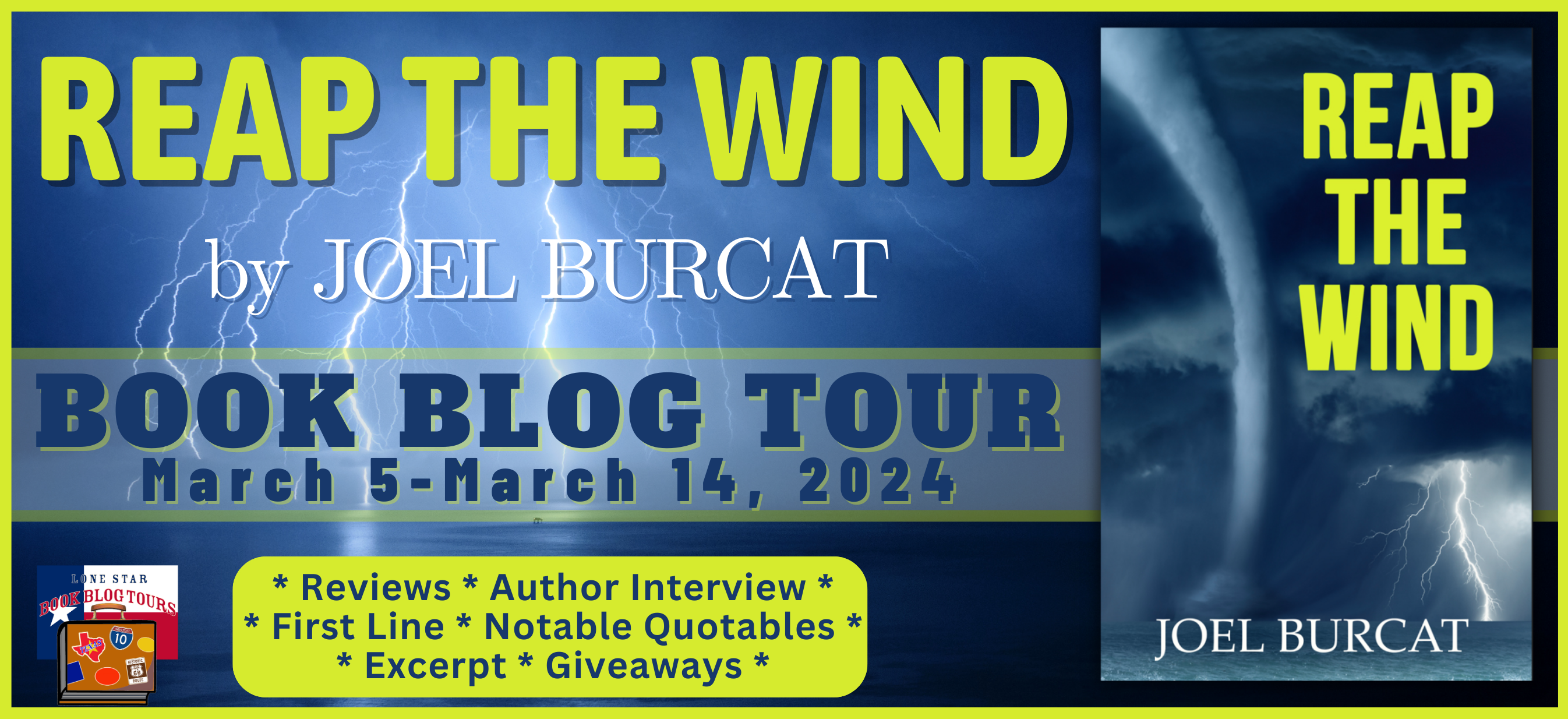 Reap the Wind by Joel Burcat